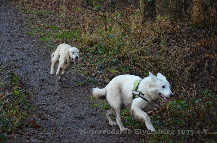 Wandertag 2012 - 104.JPG